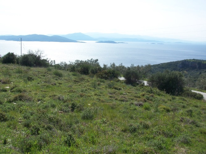 Buildable land with panoramic sea view  - Property Pelion